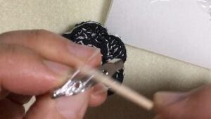 Easy Camellia Growing Method ６