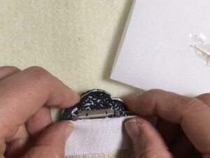 Easy Camellia Growing Method 7