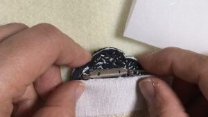 Easy Camellia Growing Method 7