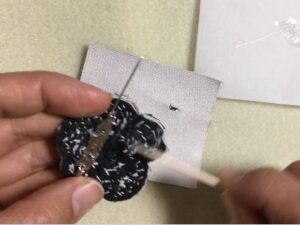 Easy Camellia Growing Method 8