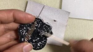 Easy Camellia Growing Method 8