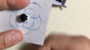 How to make a camellia 1