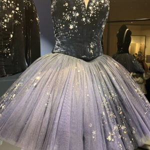 Starry Sky Tutu